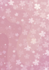 Back Cover - Cherry Blossom