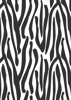 Back Cover - Zebra