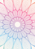 Back Cover - Boho
