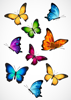 Back Cover - Colourful Butterflies