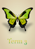 Artistic Butterflies - Term 3