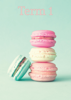 Term Title Page - Macaroons