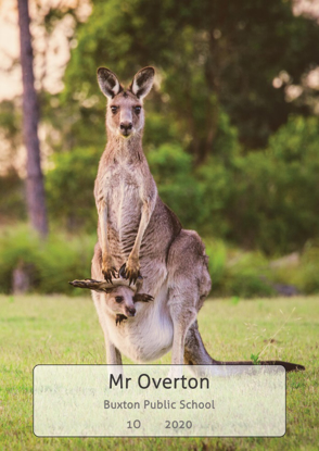 Kangaroo - Front Cover