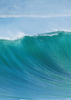 Perfect Wave - Back Cover