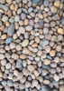 River Pebbles - Back Cover
