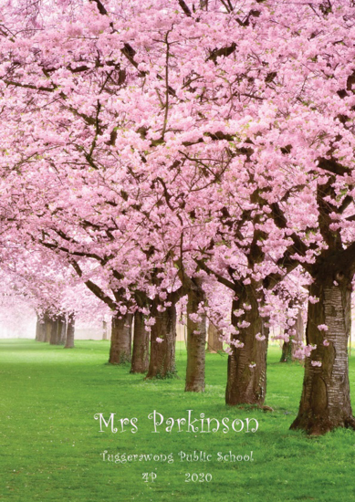 Cherry Blossom Park - Front Cover