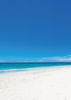 Island Beach - Back Cover