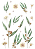 Back Cover - Eucalyptus