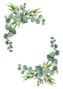 Back Cover - Eucalyptus 2